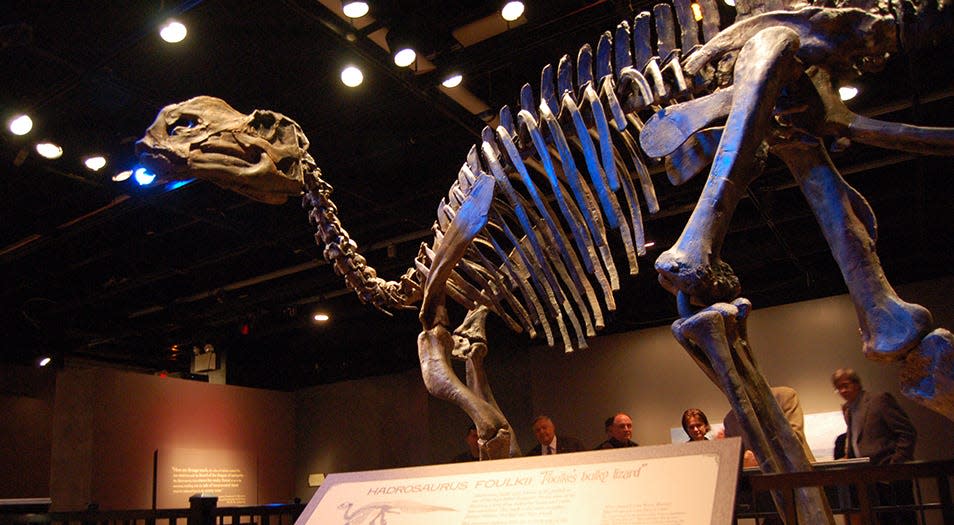 The Hadrosaurus foulkii is New Jersey state dinosaur