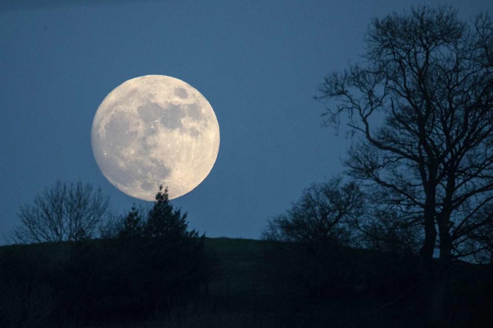 Matt Cardy/Getty Wolf Moon.