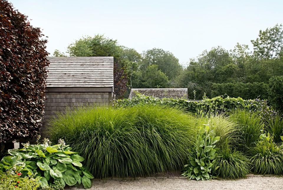 <p>Instead of the usual prim suspects—boxwood, privet, holly—the designer of this Rhode Island garden composed the hedge with tall, breezy grasses. A seven-foot-tall maiden grass, along with several smaller stands of dwarf fountain grass, creates a sense of enclosure that has a fluid, almost musical effect.</p><p><strong><a href="https://www.countryliving.com/gardening/garden-ideas/g1357/garden-design-landscaping-tips/" rel="nofollow noopener" target="_blank" data-ylk="slk:Read more about this Rhode Island garden;elm:context_link;itc:0;sec:content-canvas" class="link ">Read more about this Rhode Island garden</a>.</strong> </p>