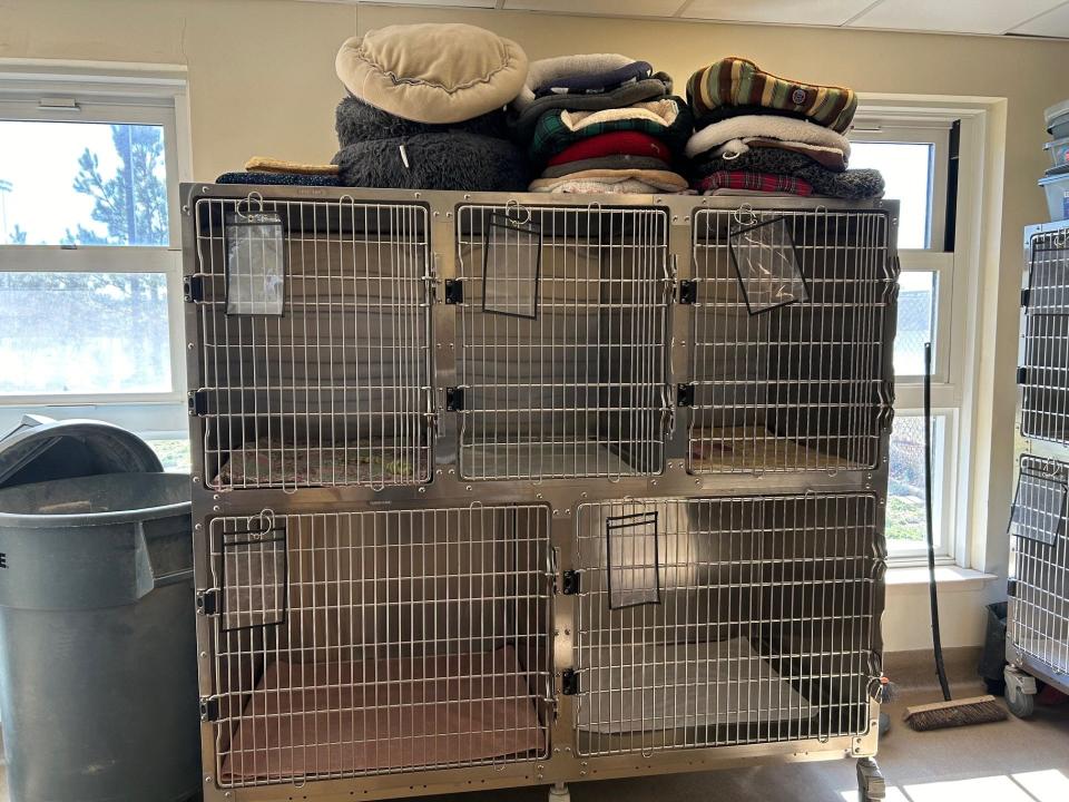 Empty cat cages at Toms River Animal Shelter, which has not been taking in new stray animals, Feb. 29, 2024.