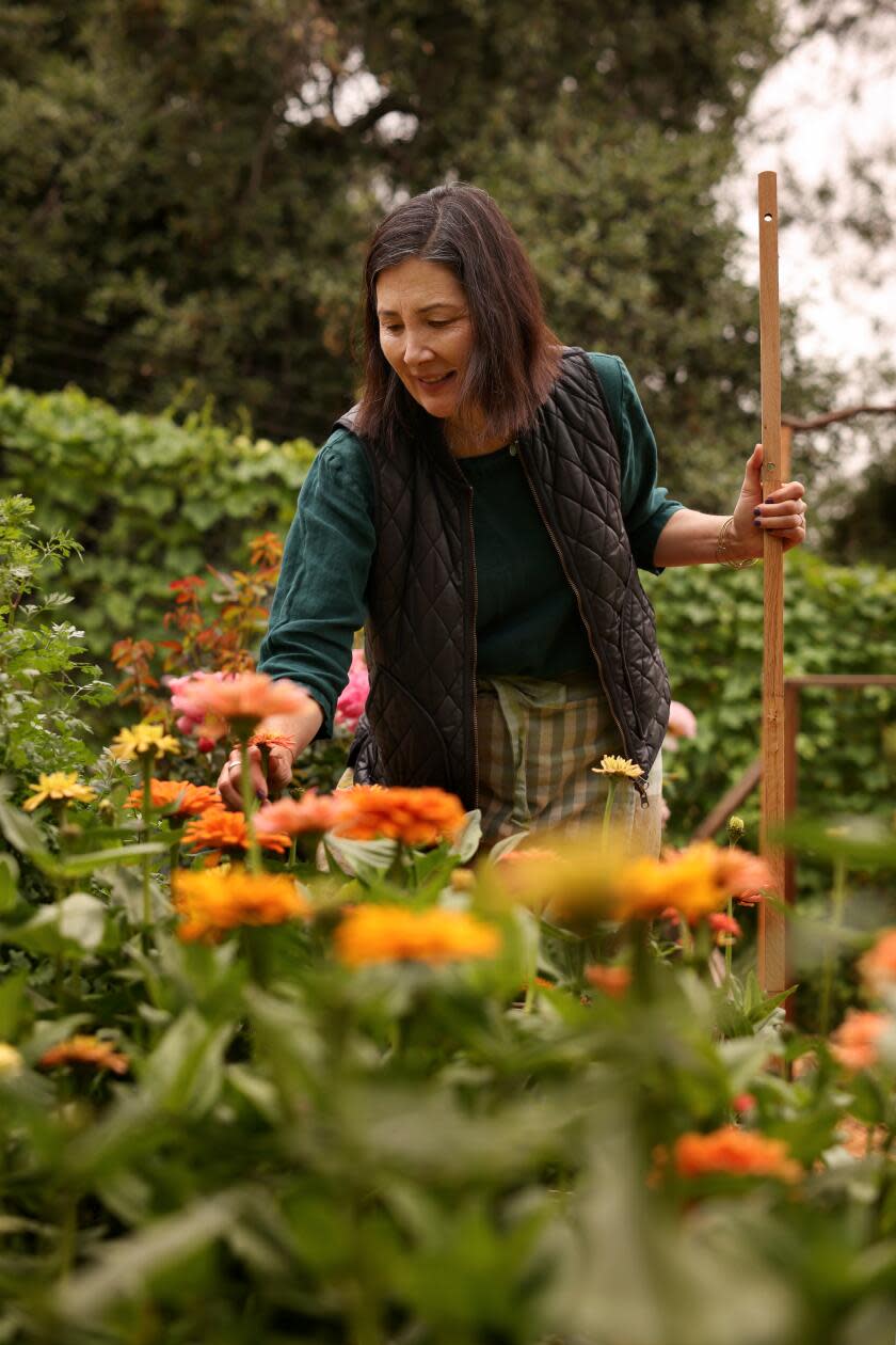 A woman in a garden tends to her flowers.