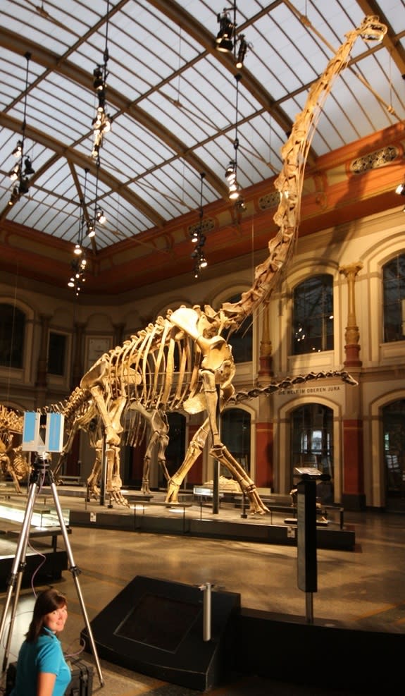 Researchers using a laser to create a 3D copy of the Berlin Brachiosaurus skeleton.