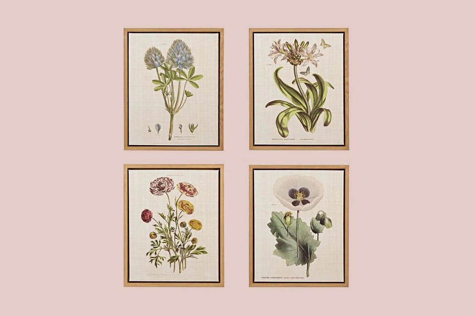 Botany Prints
