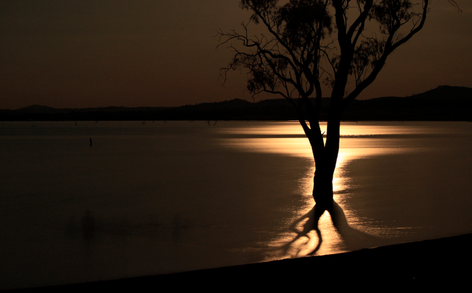 silhouettes