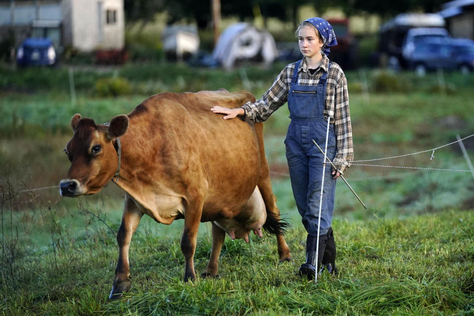 Carolyn Retberg leads a cow to pasture after the morning milking at the Quill's End Farm, Friday, Sept. 17, 2021, in Penobscot, Maine. A ballot question in will give Maine voters a chance to decide on a first-in-the-nation "right to food amendment."AP Photo/Robert F. Bukaty)