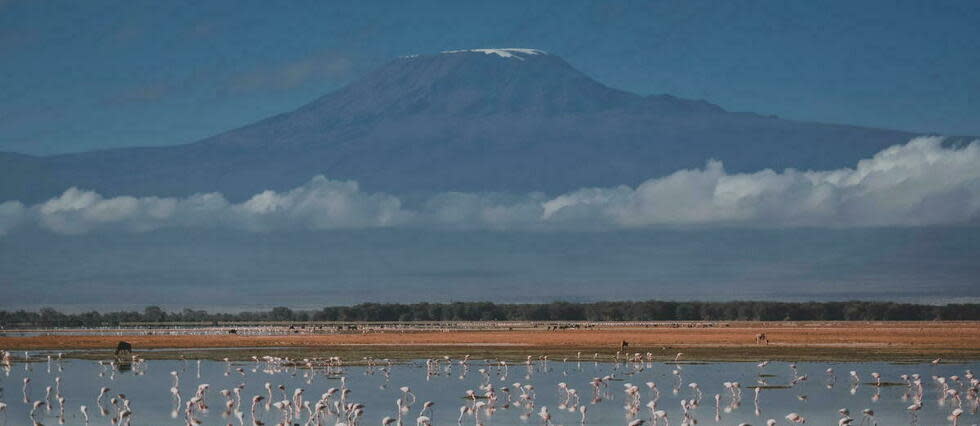 Le Kilimandjaro sera bientôt équipé d'une ligne Internet à haut débit à son sommet, situé à 5 895 mètres.  - Credit:TANYA WILLMER / AFP