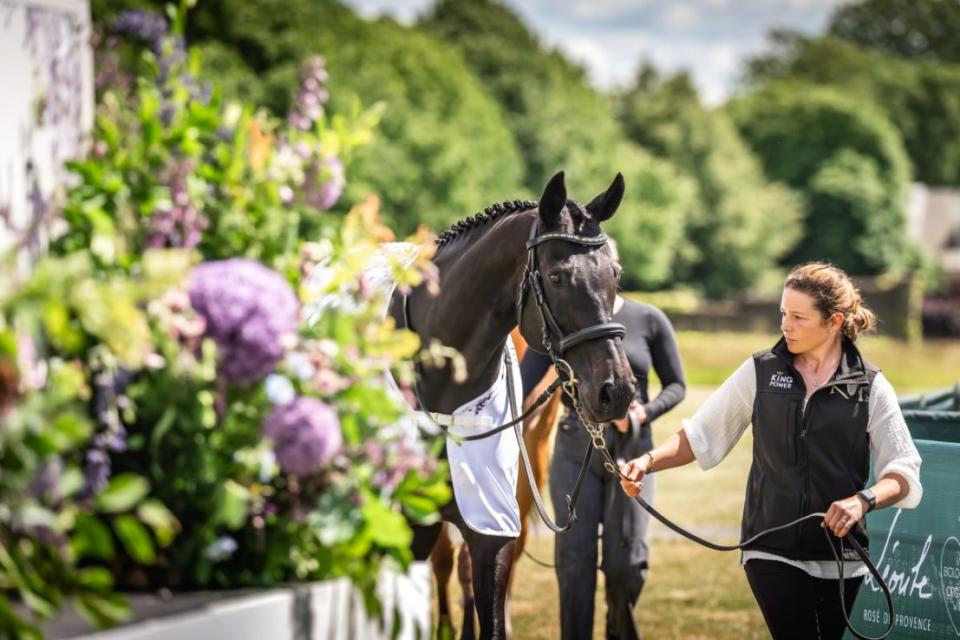 The Goffs London Sale has in recent years become the most exclusive curtain raiser in town as well as one of the most prestigious sales of thoroughbreds in the world