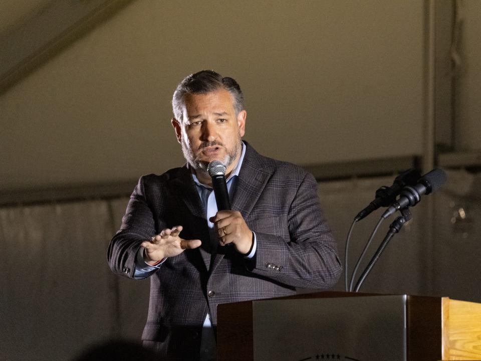 Sen. Ted Cruz, a Republican of Texas, speaks at a rally for Republican Senate candidate Herschel Walker on November 10, 2022 in Canton, Georgia.