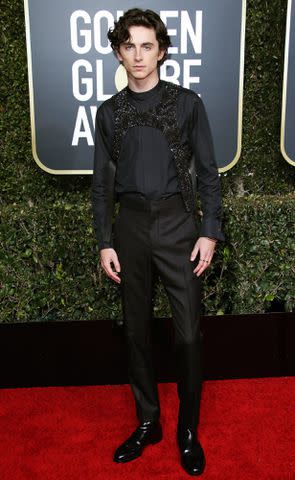 Timothée Chalamet at the 76th Annual Golden Globe Awards, Arrivals, Los Angeles, USA - 06 Jan 2019