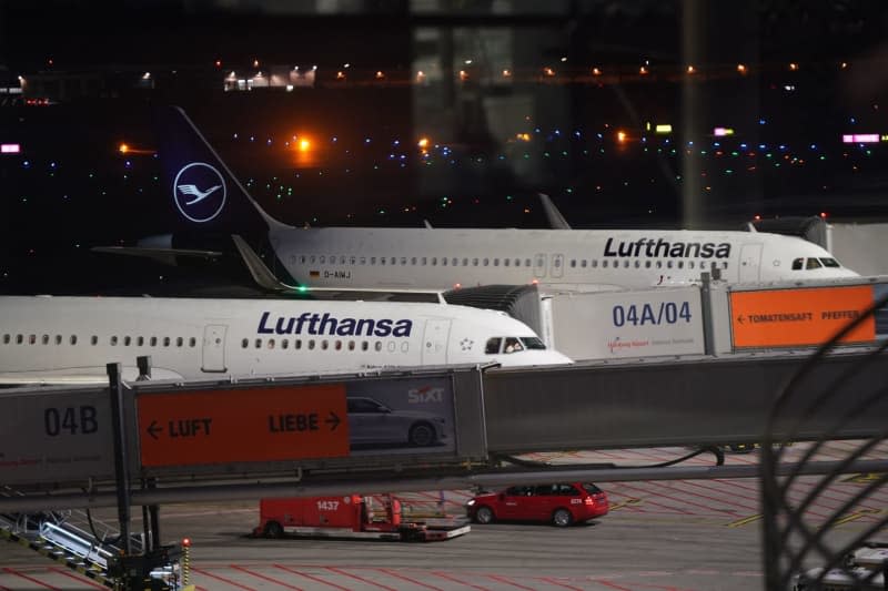 Lufthansa aircraft stand next to other planes at a terminal at Hamburg Airport. Marcus Brandt/dpa