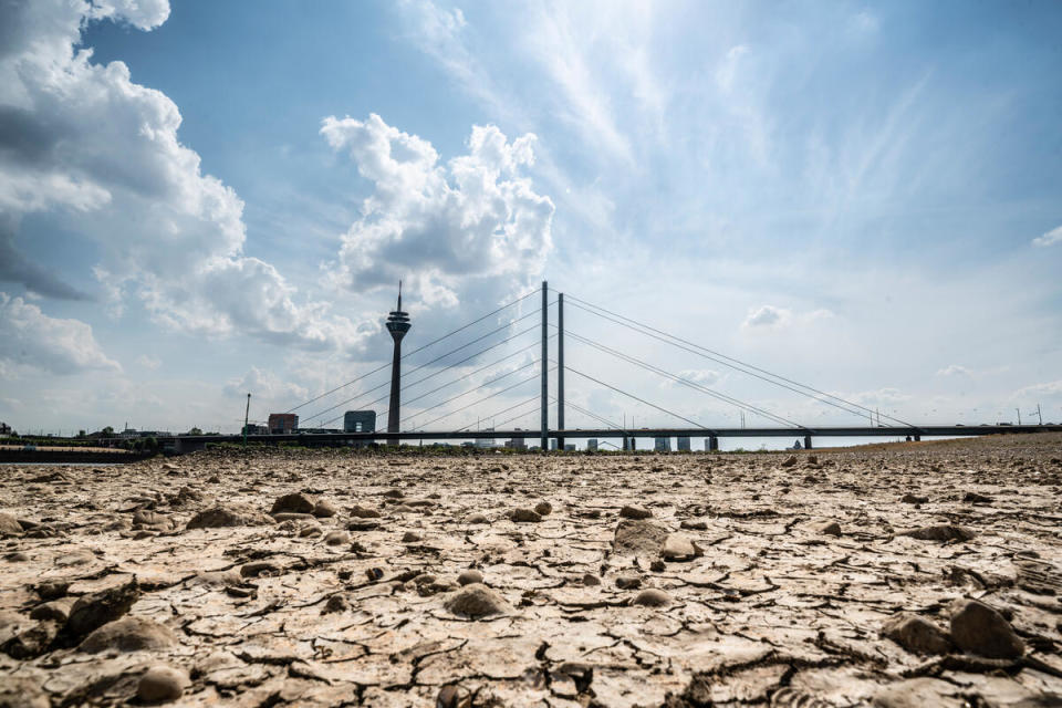 2022年8月，高溫乾旱導致德國萊茵河水位見底、河床乾裂。