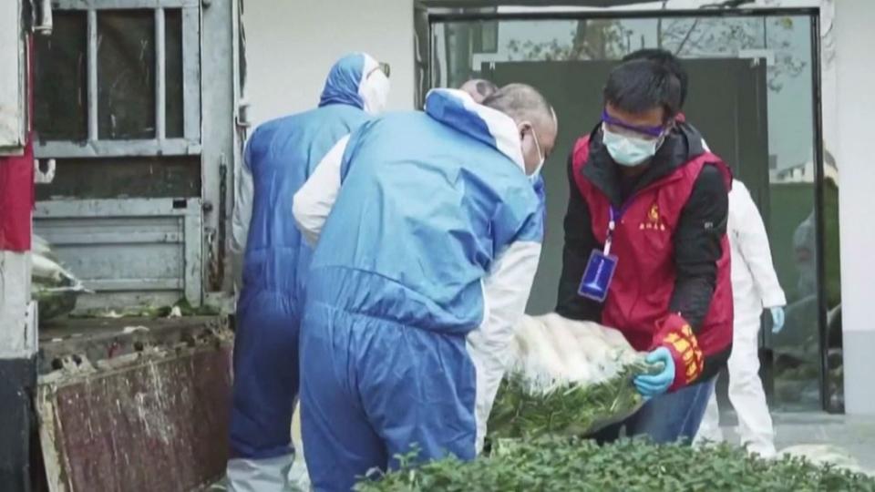 武漢市各居委會工作人員與志願者從卡車上卸下各類蔬菜。（圖／CCTV）