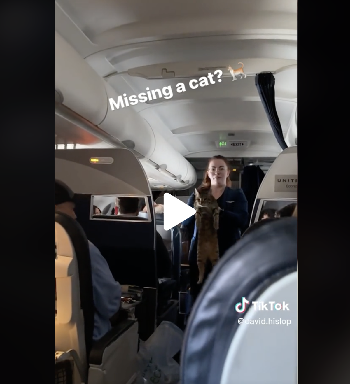 A video of the incident was posted on TikTok  (TikTok/david.hislop)