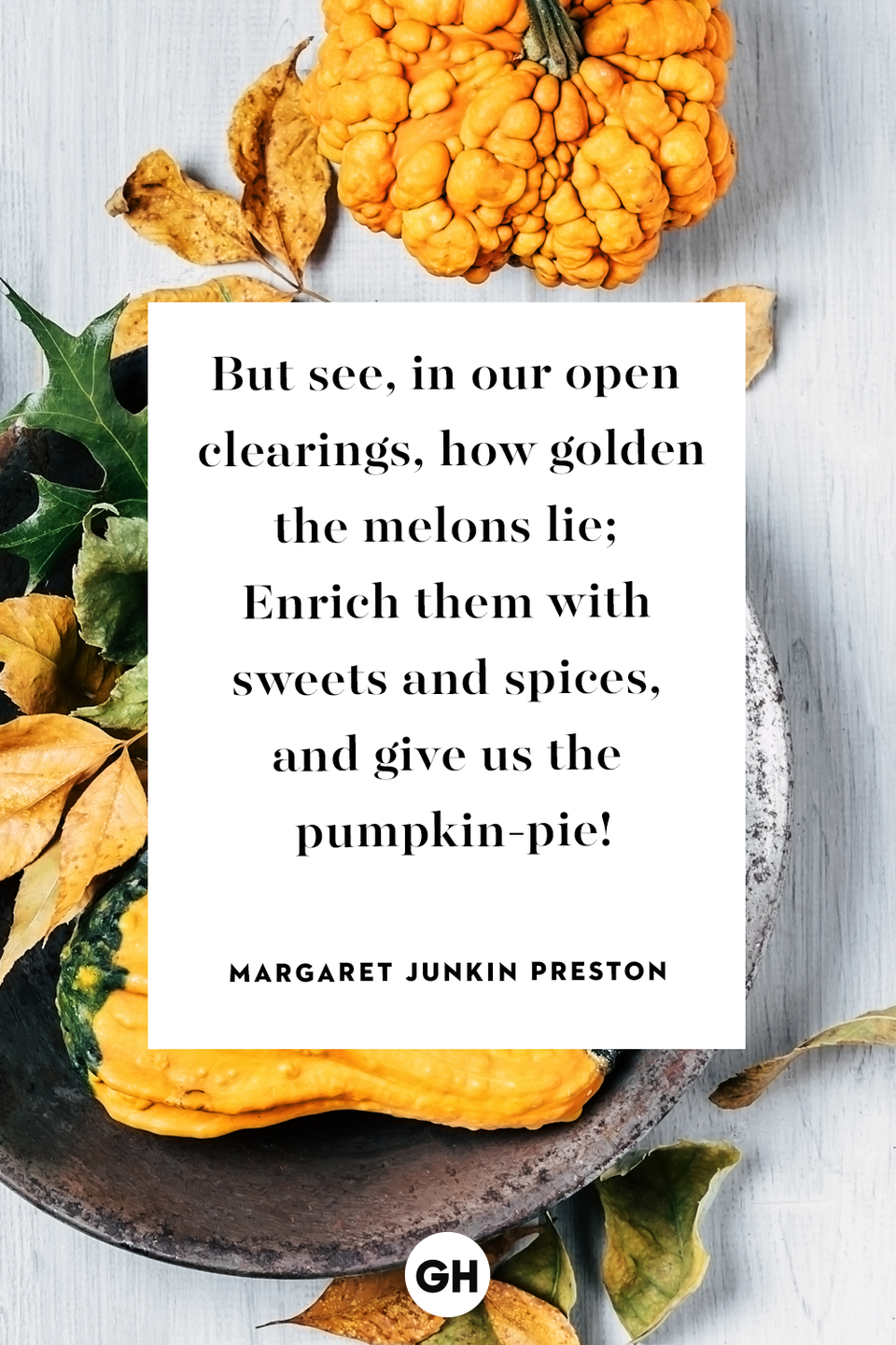 <p>But see, in our open clearings, how golden the melons lie; Enrich them with sweets and spices, and give us the pumpkin-pie!</p>