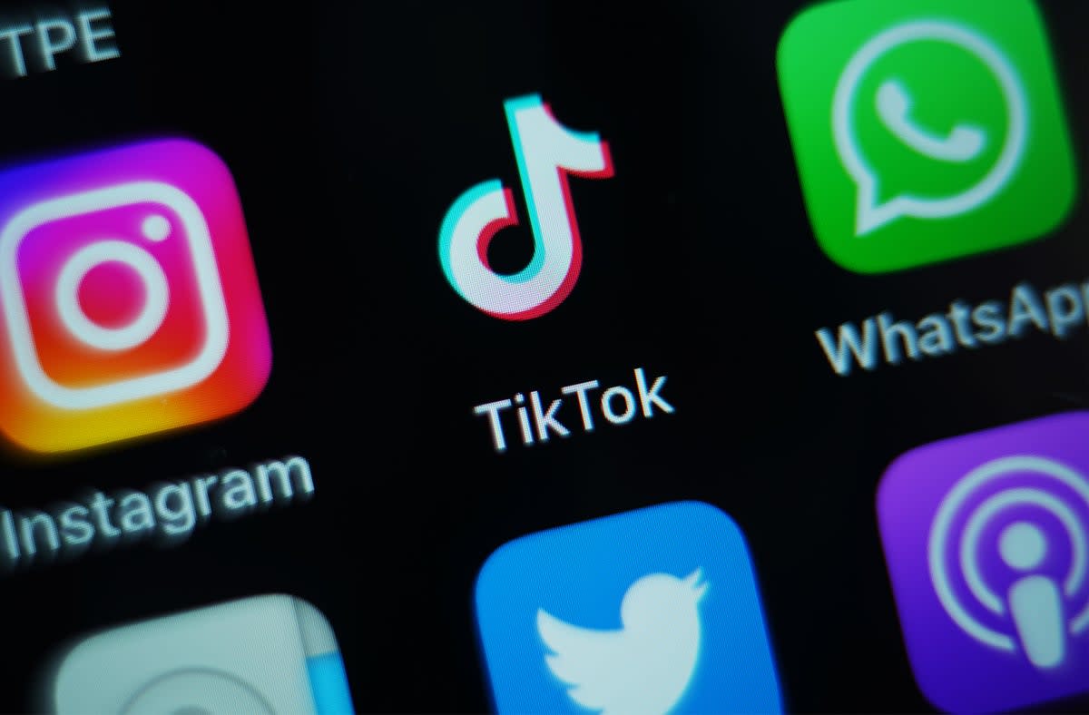 TikTok is credited for breaking musicians - but how will its own AI music compare? (PA)