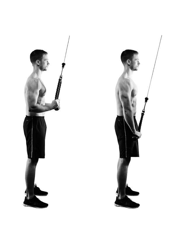 tricep pushdown