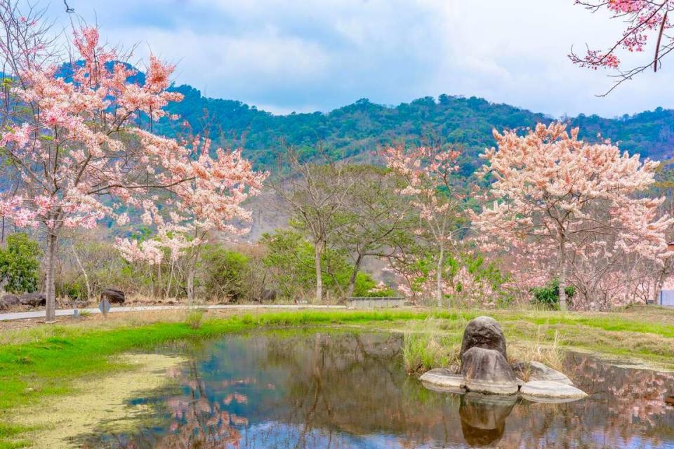 高雄市觀光局安排甲仙及那瑪夏十二場小旅行，也與六龜觀光休閒協會合作，在六龜寶來及不老溫泉區，推出八條特色遊程及夜間生態導覽活動。（記者吳文欽攝）