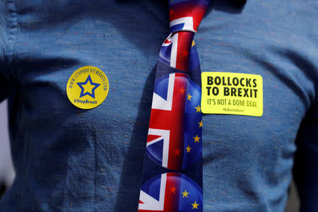 FILE PHOTO: An anti-Brexit demonstrator wears stickers an EU and Union flag themed tie during a protest opposite the Houses of Parliament in London, Britain, June 11, 2018. REUTERS/Peter Nicholls -/File Photo