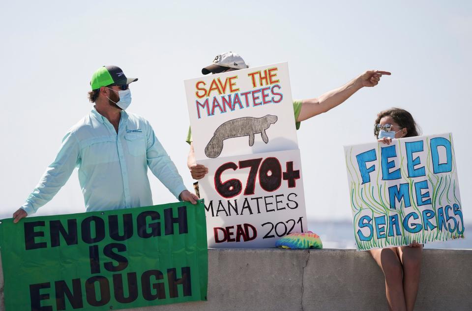 Concerned citizens gather on the Ernest Lyons Bridge for the Rally for the Manatees on Saturday, May 1, 2021, in Stuart. Organized by the RiverKidz, the event aimed to bring awareness to the 670 manatee deaths in 2021 and the decline in seagrass habitat.