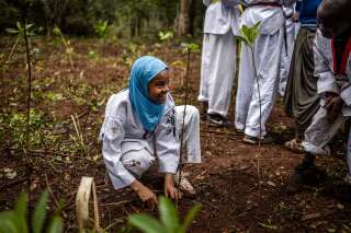 Le 13 novembre 2023 à Nairobi (Kenya), une jeune fille plante une pousse d’arbre, à l’occasion du nouveau jour férié décrété par le gouvernement. Le Kenya a pour ambition de planter 15 milliards d’arbres en dix ans. . Photo LUIS TATO/AFP