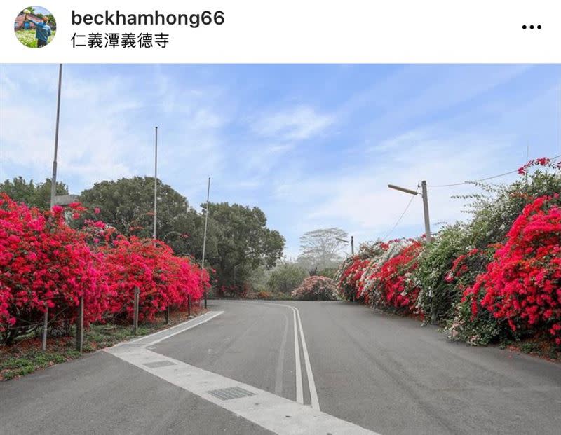 目前九重葛正值花期，整面花牆開得鮮艷飽滿，相當吸睛。（圖／IG：beckhamhong66 授權提供）