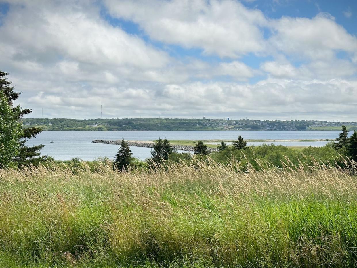 The CBRM Steering Committee of Sydney Harbour Investment Partners is supposed to oversee development of a container terminal on a piece of land in Sydney Harbour, shown here. (Tom Ayers/CBC - image credit)