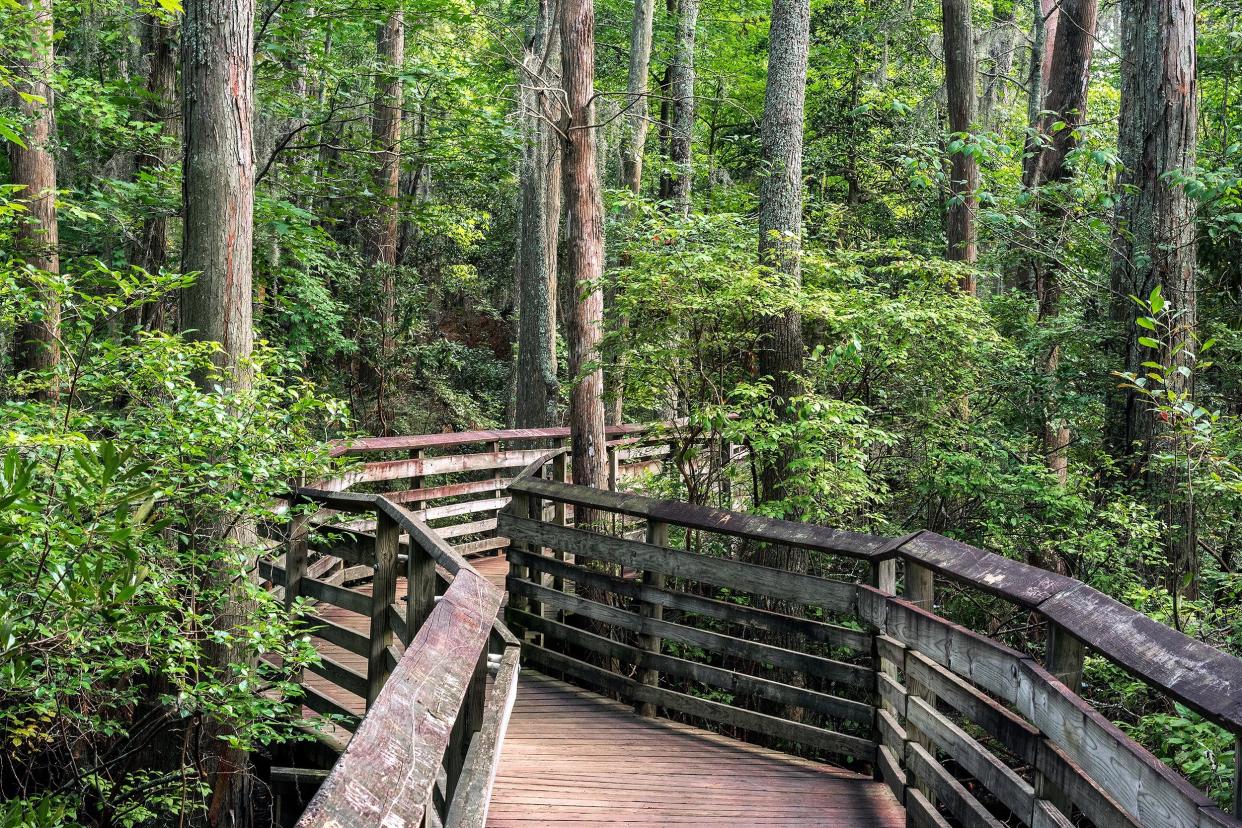 First Landing State Park, Virginia