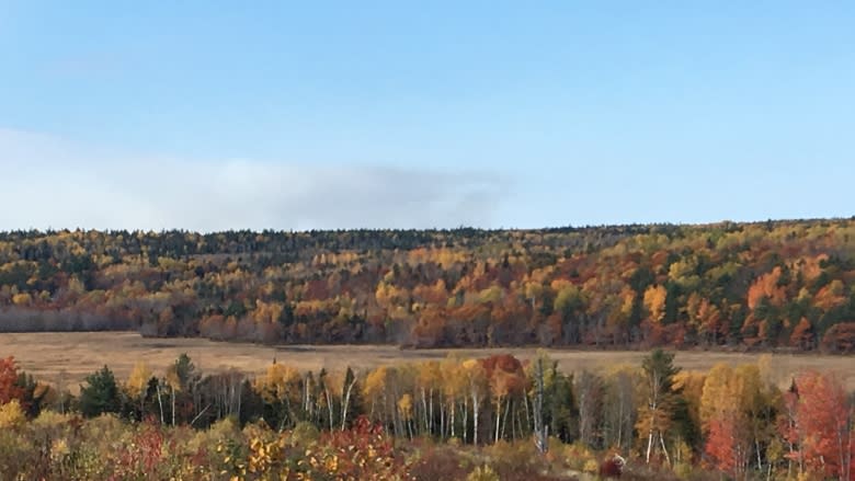 Residents near Base Gagetown say brush fire smoke 'seriously bad'