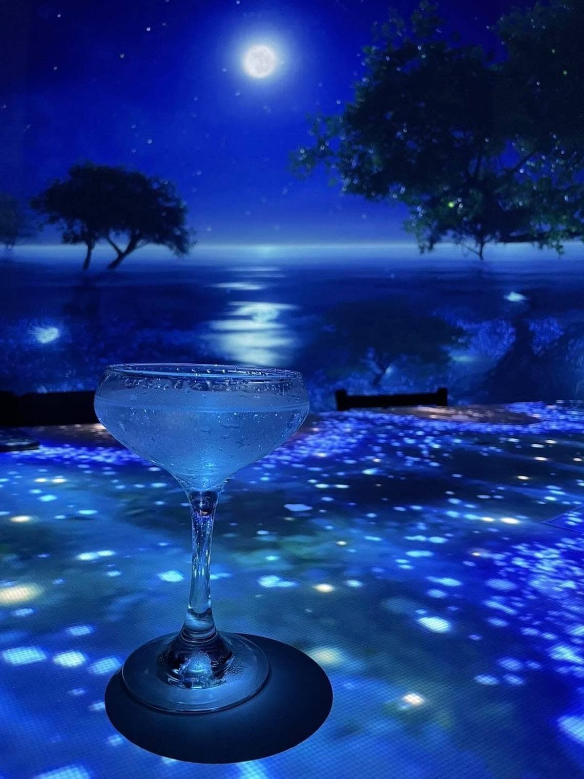 Drink ocean-friendly cocktails at the immersive dining experience of Hidden Worlds.