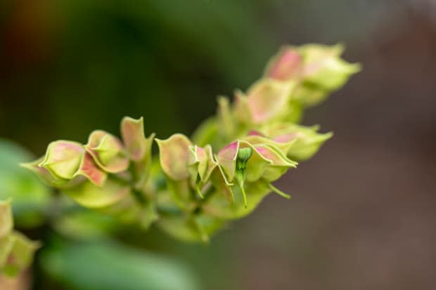 <p>Suphatthra China/Getty Images</p>