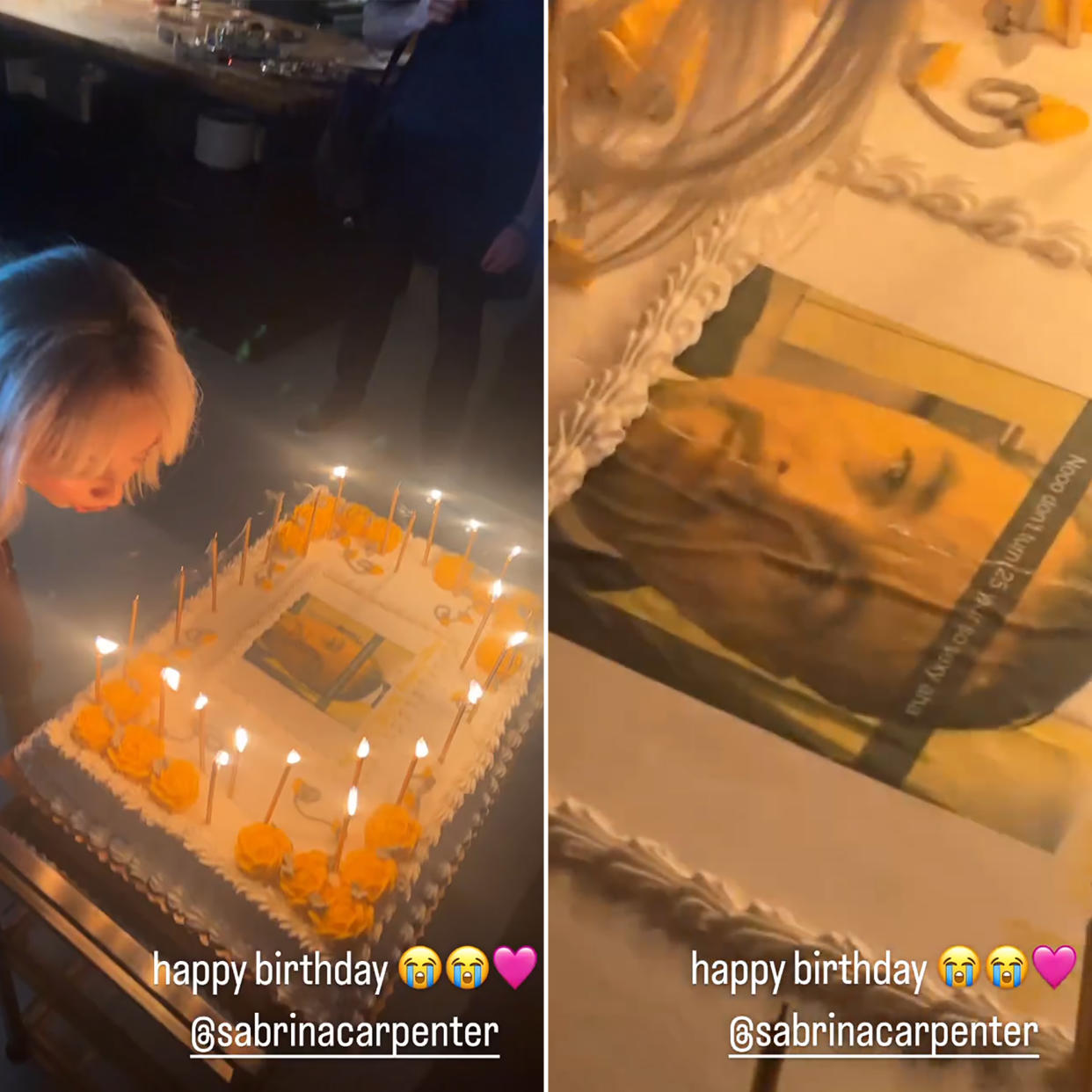 Sabrina Carpenter’s 25th Birthday Cake Features a Leonardo DiCaprio Meme