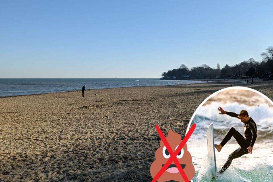 Appley Beach will play host to the Isle of Wight protest against pollution. &lt;i&gt;(Image: IWCP/Canva.)&lt;/i&gt;