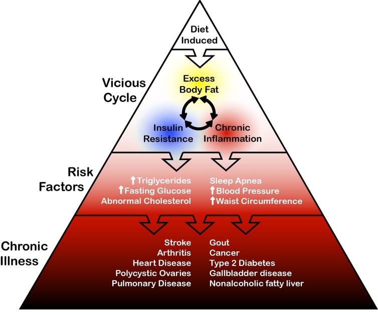 <span class="caption">The relationship between overfat and disease.</span> <span class="attribution"><span class="source">Maffetone, Rivera-Dominguez and Laursen</span></span>