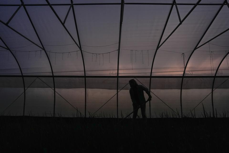 Katy Rogers uses a hoe to prepare a bed for planting the next day, Friday, April 19, 2024, at Teter Retreat and Organic Farm in Noblesville, Ind. She was playing catchup after heavy rains flooded some of her fields weeks earlier. (AP Photo/Joshua A. Bickel)