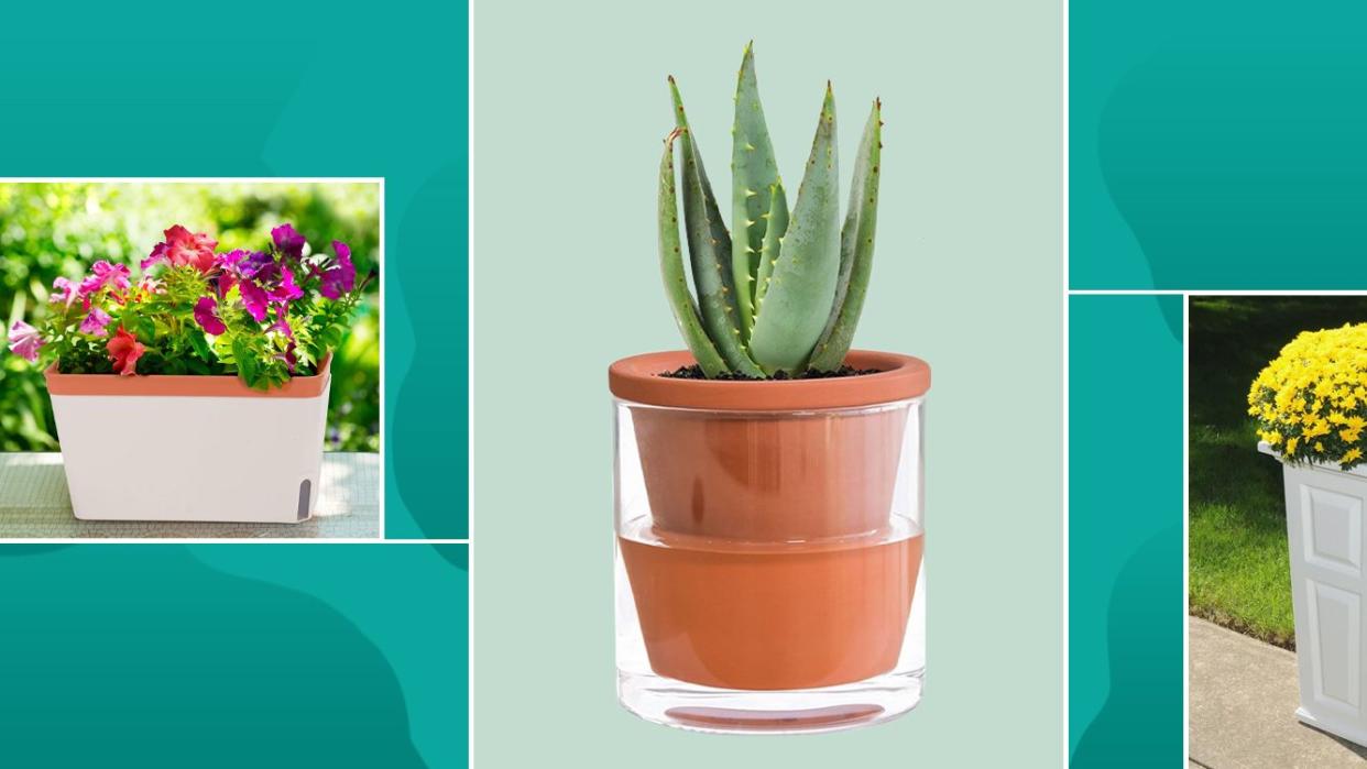 different self watering planters