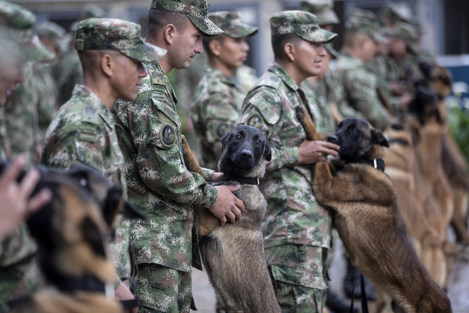 Adiestradores se forman con sus perros en una instalación de entrenamiento del ejército de Colombia, el miércoles 21 de junio de 2023, en Bogotá. (AP Foto/Iván Valencia)