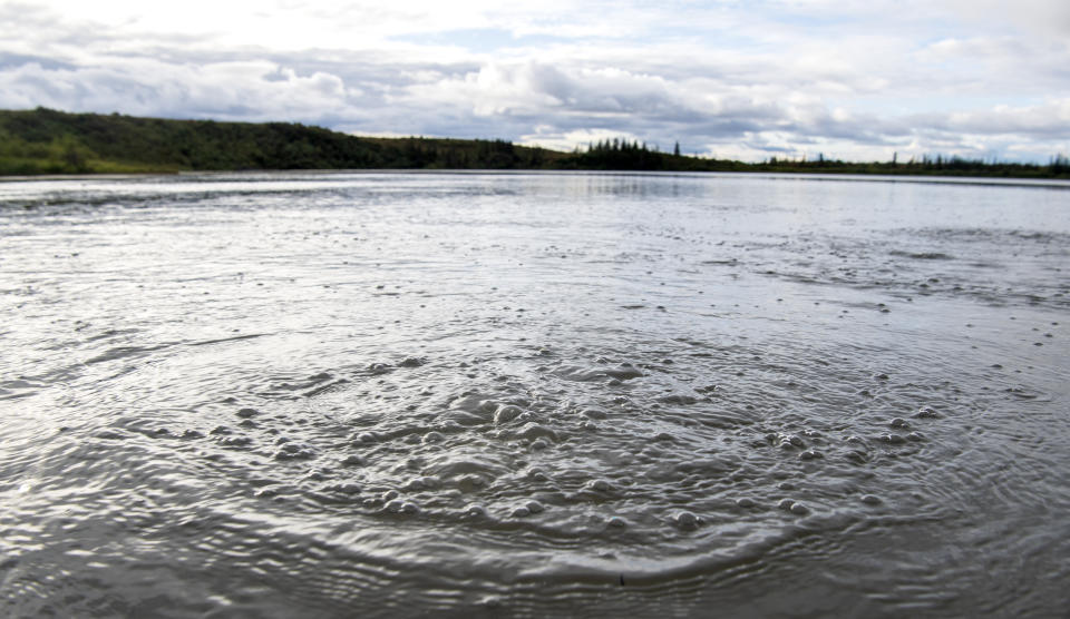 A ring of  bubbles of methane gas on Esieh Lake.