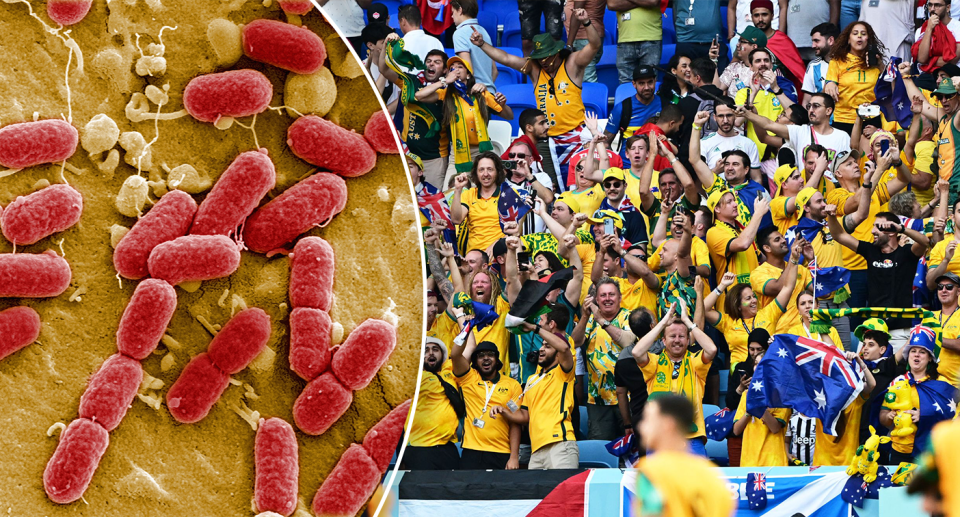 Left - Bacteria growing. Right -a crowd at the soccer in Australian colours