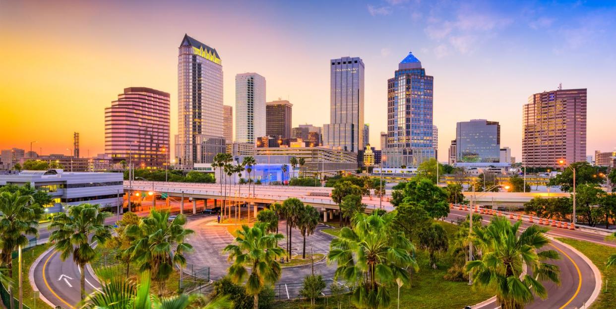 tampa florida skyline