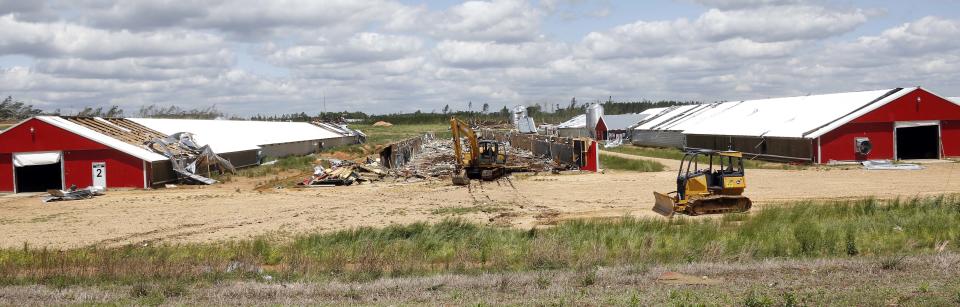 Chicken houses remain on both sides of one that was flattened at Pine Ridge Farm by a tornado Monday in Noxapater, Miss., as seen in this photograph taken Wednesday, April 30, 2014. Several poultry farms were damaged by a tornado on Monday. (AP Photo/Rogelio V. Solis)