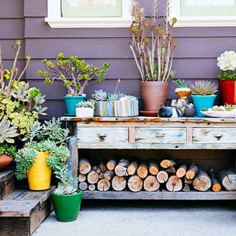 Display a selection of potted plants