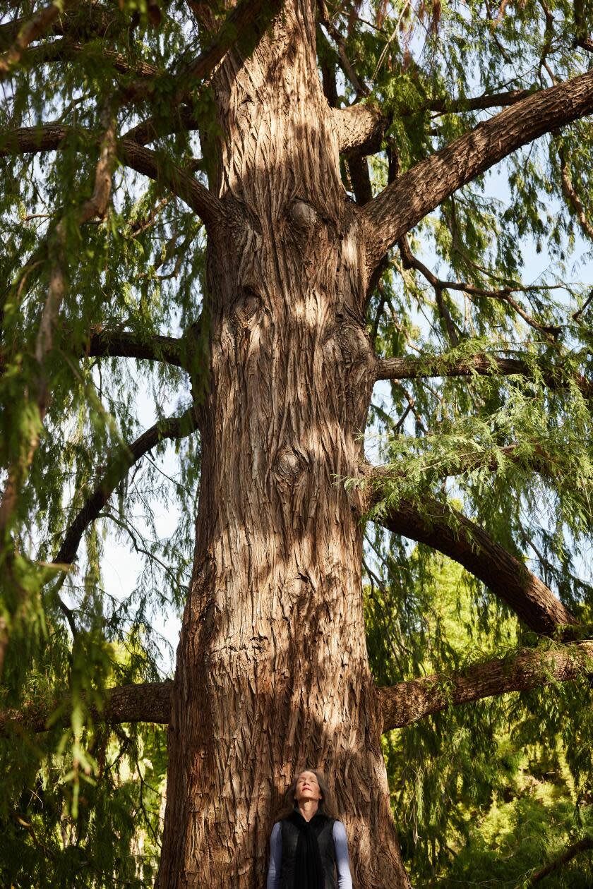 A woman leans and meditates against a large tree in the Huntington's cypress grove.