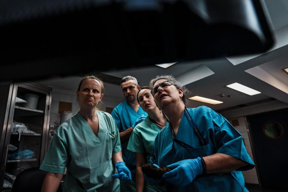 Four people in blue scrubs look at a screen