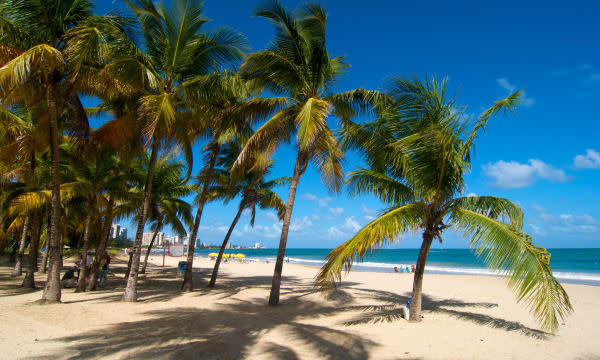 Puerto Rico, Caribbean, Greater Antilles, Antilles, San Juan, Isla Verde Beach, palm beach, palm beaches, sand beach, sand beach