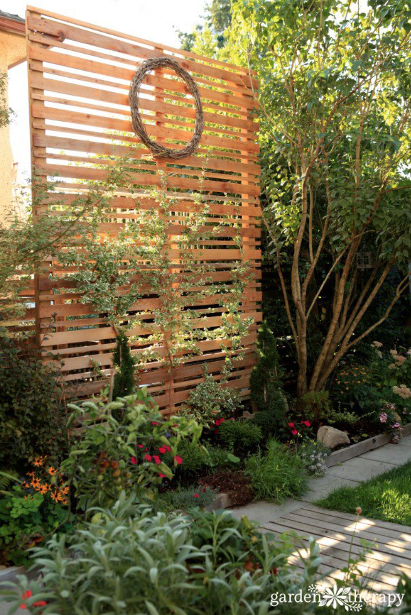 garden fence ideas diy espalier privacy screen