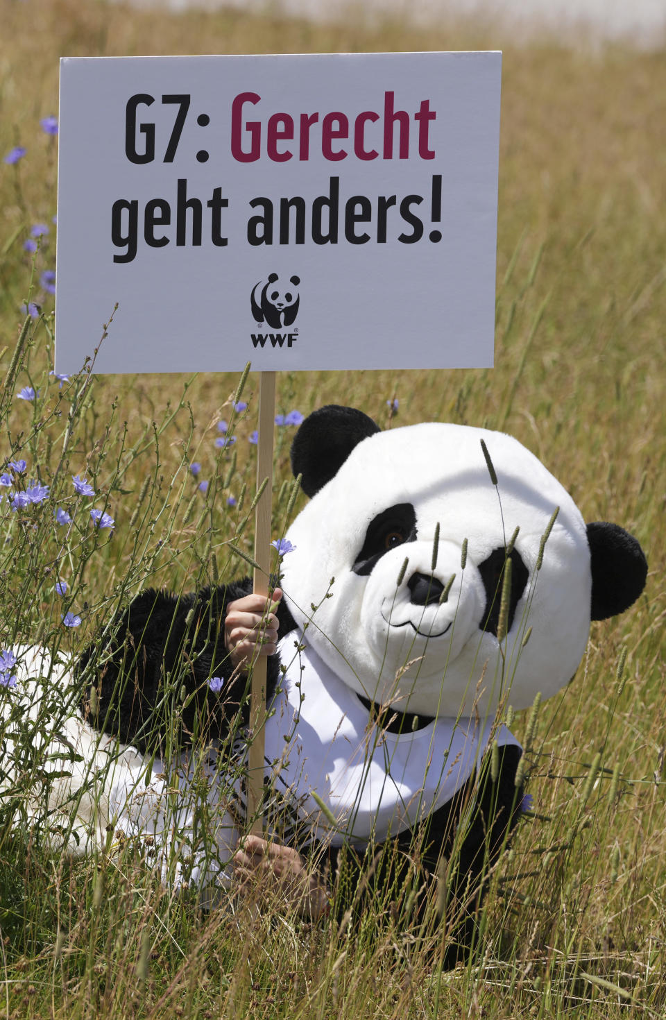 A protestor dressed as a panda bear holds a sign which reads "justice is different" during a demonstration ahead of the G7 summit in Munich, Germany, Saturday, June 25, 2022. The G7 Summit will take place at Castle Elmau near Garmisch-Partenkirchen from June 26 through June 28, 2022. (AP Photo/Matthias Schrader)