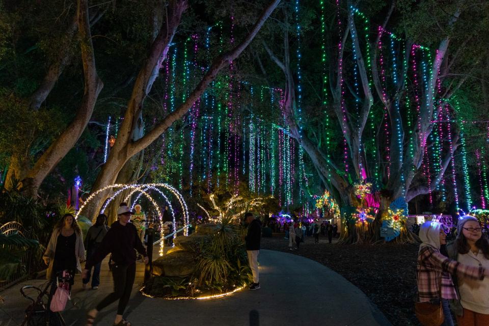 More than 1,300 children, families, teachers, and school staff enjoyed complimentary access to Marie Selby Botanical Gardens’ Lights in Bloom holiday light show this season.