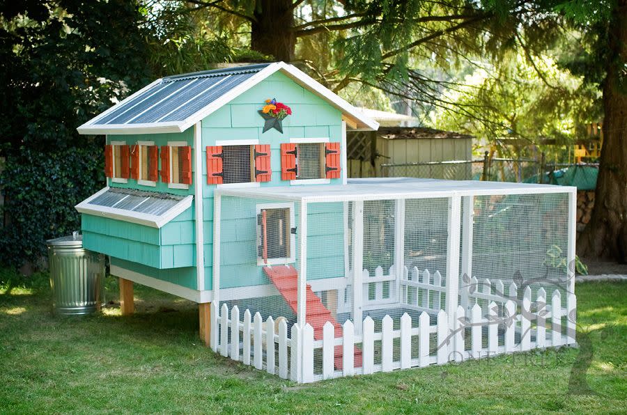 Colorful and Homey Chicken Coop