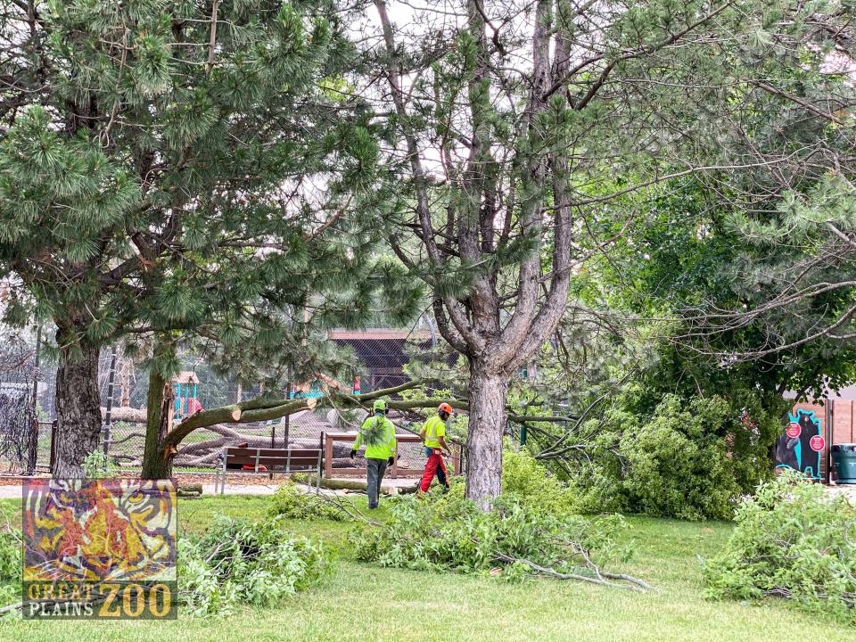 The Great Plains Zoo in Sioux Falls is closed for cleanup following the July 5 derecho storms.