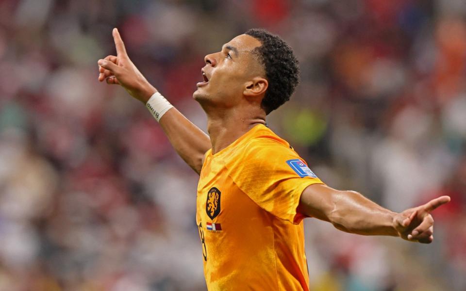Netherlands' forward #08 Cody Gakpo celebrates scoring the opening goal during the Qatar 2022 World Cup Group A football match between the Netherlands and Qatar at the Al-Bayt Stadium in Al Khor, north of Doha on November 29, 2022 - KARIM JAAFAR / AFP) (Photo by KARIM JAAFAR/AFP via Getty Images